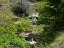 photo thumbnail #15