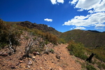 photo thumbnail #6