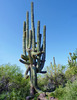 photo thumbnail #6