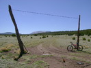 photo thumbnail #4