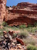 photo thumbnail #3