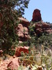 photo thumbnail #8