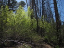 photo thumbnail #8