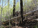 photo thumbnail #10