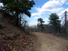 photo thumbnail #12