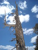 photo thumbnail #14