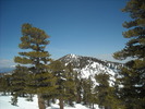 photo thumbnail #15