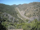 photo thumbnail #1