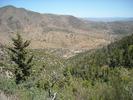 photo thumbnail #3