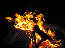 photo thumbnail #9