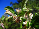 photo thumbnail #14