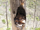 photo thumbnail #13