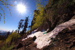 photo thumbnail #8