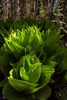 photo thumbnail #14