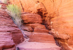 photo thumbnail #11