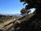photo thumbnail #1