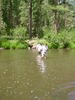 photo thumbnail #4