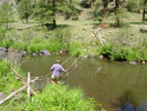 photo thumbnail #7