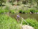 photo thumbnail #8