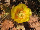 photo thumbnail #14