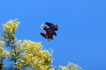 photo thumbnail #3