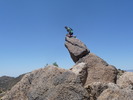 photo thumbnail #5