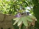 photo thumbnail #7