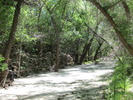 photo thumbnail #7