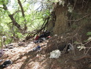 photo thumbnail #9