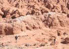 photo thumbnail #9