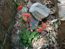 Featured Full Photo