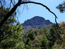 photo thumbnail #7