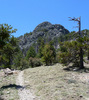 photo thumbnail #15
