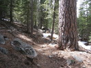 photo thumbnail #2