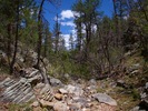 photo thumbnail #2