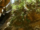 photo thumbnail #10