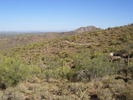 photo thumbnail #3