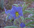 photo thumbnail #3