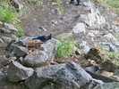 photo thumbnail #14