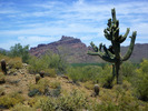 photo thumbnail #6