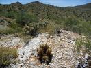 photo thumbnail #7