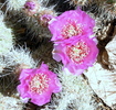 photo thumbnail #11