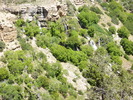 photo thumbnail #14