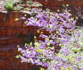 photo thumbnail #15