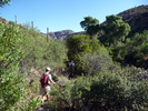 photo thumbnail #6