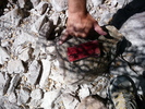 photo thumbnail #14