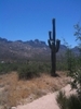photo thumbnail #1
