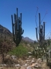 photo thumbnail #6