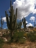 photo thumbnail #9