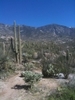 photo thumbnail #1